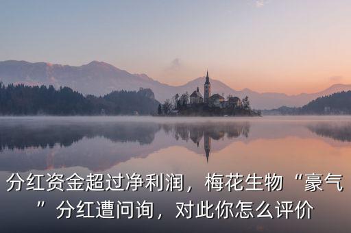 分紅資金超過凈利潤，梅花生物“豪氣”分紅遭問詢，對此你怎么評價