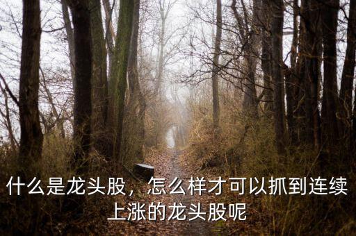 什么是龍頭股，怎么樣才可以抓到連續(xù)上漲的龍頭股呢