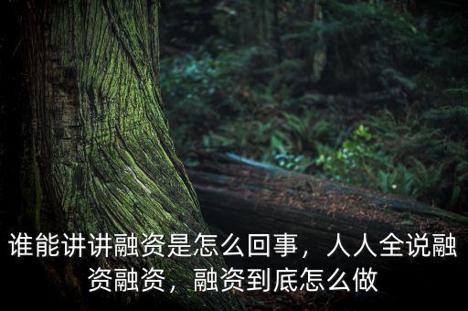 誰能講講融資是怎么回事，人人全說融資融資，融資到底怎么做