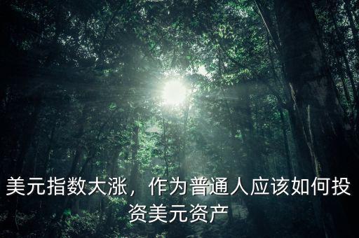 美元指數(shù)大漲，作為普通人應(yīng)該如何投資美元資產(chǎn)