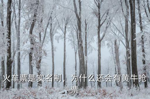 火車票是實名制，為什么還會有黃牛搶票