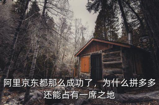 阿里京東都那么成功了，為什么拼多多還能占有一席之地