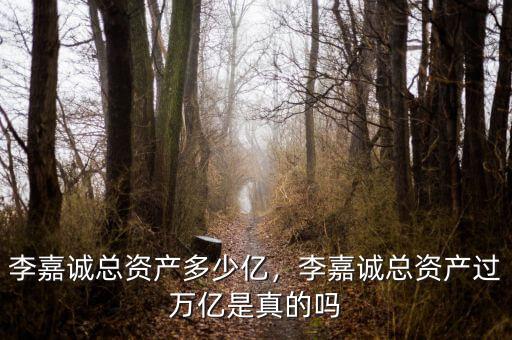 李嘉誠總資產(chǎn)多少億，李嘉誠總資產(chǎn)過萬億是真的嗎