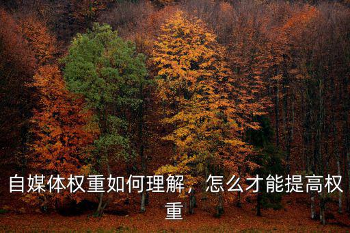 自媒體權(quán)重如何理解，怎么才能提高權(quán)重