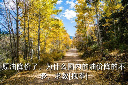 原油降價(jià)了，為什么國內(nèi)的油價(jià)降的不多，求教[抱拳]