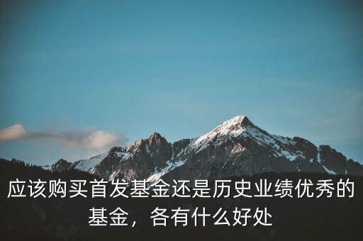應(yīng)該購買首發(fā)基金還是歷史業(yè)績優(yōu)秀的基金，各有什么好處