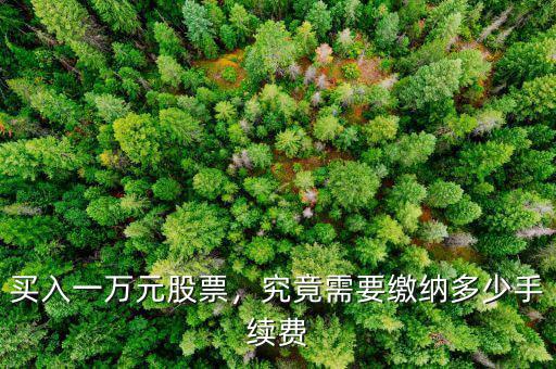買入一萬元股票，究竟需要繳納多少手續(xù)費