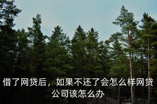 借了網(wǎng)貸后，如果不還了會(huì)怎么樣網(wǎng)貸公司該怎么辦