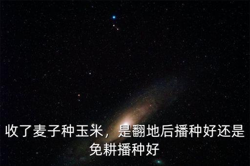 收了麥子種玉米，是翻地后播種好還是免耕播種好