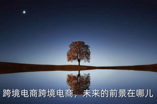 跨境電商跨境電商，未來的前景在哪兒