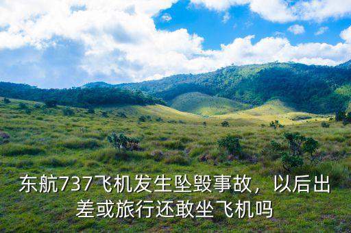 東航737飛機(jī)發(fā)生墜毀事故，以后出差或旅行還敢坐飛機(jī)嗎