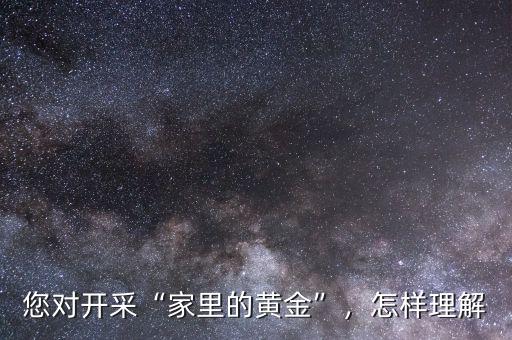 您對(duì)開(kāi)采“家里的黃金”，怎樣理解