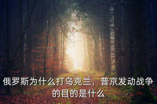 俄羅斯為什么打?yàn)蹩颂m，普京發(fā)動戰(zhàn)爭的目的是什么