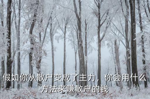 假如你從散戶變成了主力，你會用什么方法來賺散戶的錢