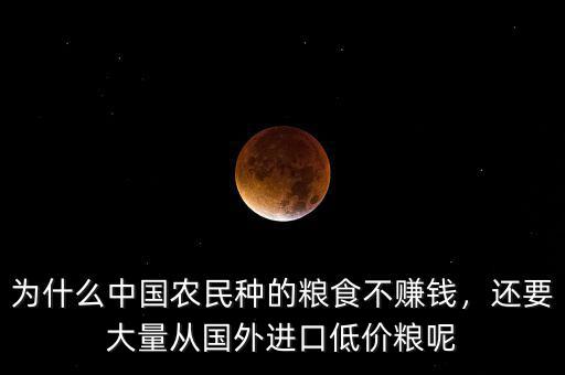 為什么中國農(nóng)民種的糧食不賺錢，還要大量從國外進口低價糧呢