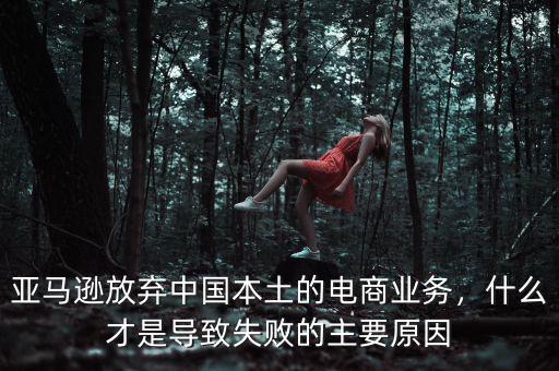 亞馬遜放棄中國本土的電商業(yè)務(wù)，什么才是導(dǎo)致失敗的主要原因