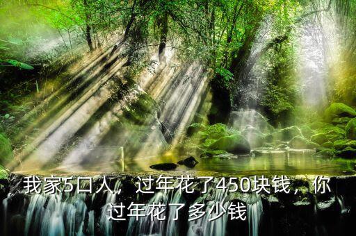 我家5口人，過年花了450塊錢，你過年花了多少錢