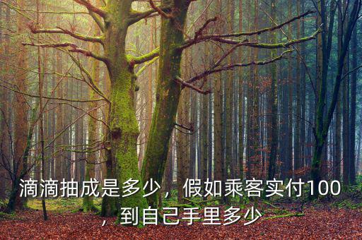 滴滴抽成是多少，假如乘客實付100，到自己手里多少