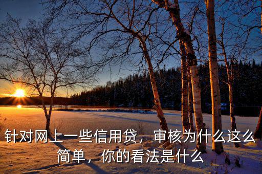 針對(duì)網(wǎng)上一些信用貸，審核為什么這么簡單，你的看法是什么