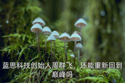 藍(lán)思科技創(chuàng)始人周群飛，還能重新回到巔峰嗎