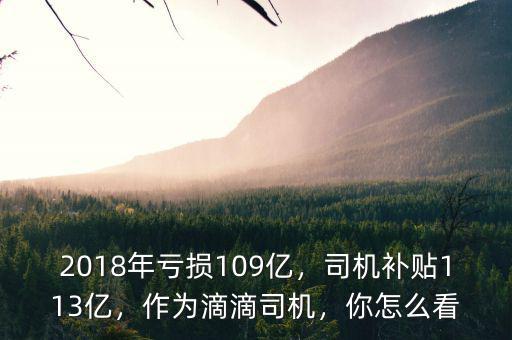 2018年虧損109億，司機(jī)補(bǔ)貼113億，作為滴滴司機(jī)，你怎么看