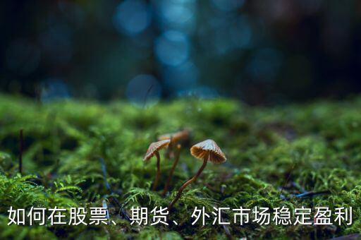 如何在股票、期貨、外匯市場(chǎng)穩(wěn)定盈利