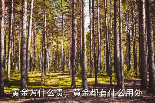 黃金為什么貴，黃金都有什么用處