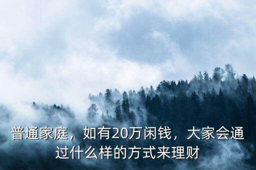 普通家庭，如有20萬閑錢，大家會通過什么樣的方式來理財