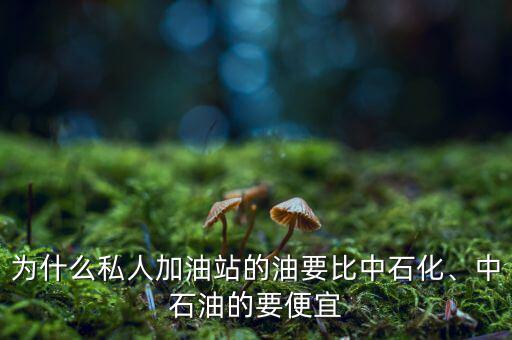 為什么私人加油站的油要比中石化、中石油的要便宜