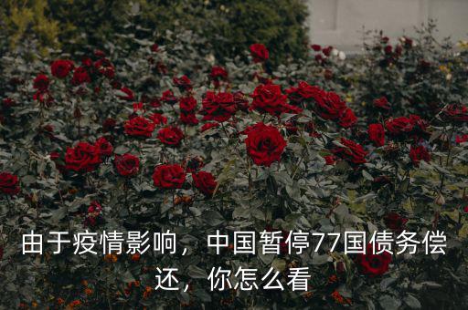 由于疫情影響，中國暫停77國債務(wù)償還，你怎么看
