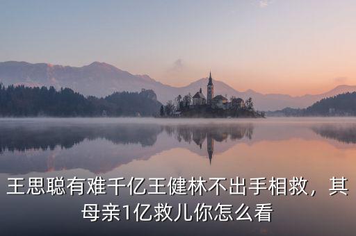 王思聰有難千億王健林不出手相救，其母親1億救兒你怎么看