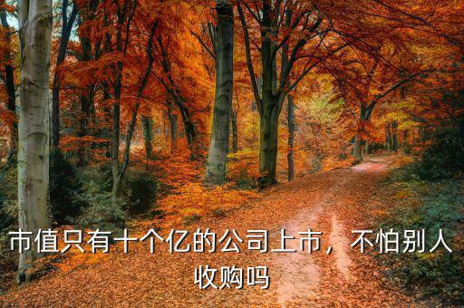 市值只有十個(gè)億的公司上市，不怕別人收購(gòu)嗎
