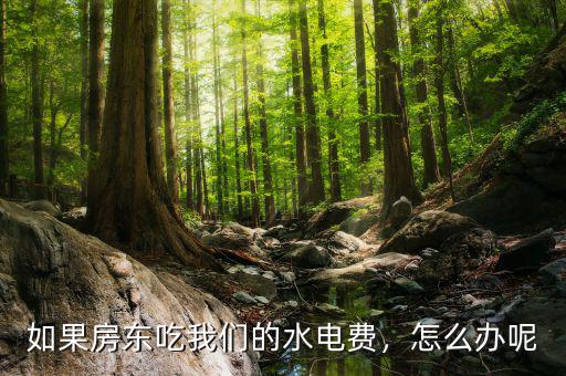 如果房東吃我們的水電費(fèi)，怎么辦呢