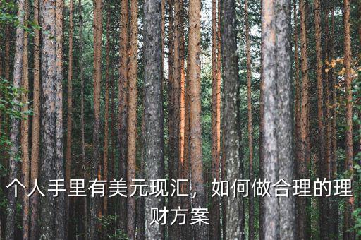 個人手里有美元現(xiàn)匯，如何做合理的理財方案