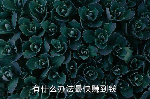 有什么辦法最快賺到錢(qián)