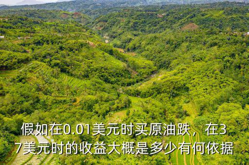 假如在0.01美元時(shí)買原油跌，在37美元時(shí)的收益大概是多少有何依據(jù)