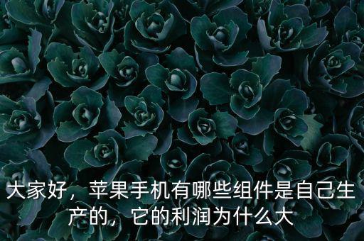 大家好，蘋果手機有哪些組件是自己生產(chǎn)的，它的利潤為什么大