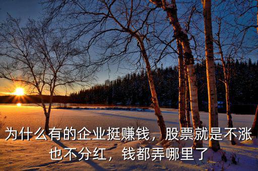 為什么有的企業(yè)挺賺錢(qián)，股票就是不漲也不分紅，錢(qián)都弄哪里了