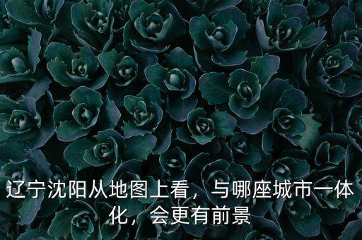 遼寧沈陽從地圖上看，與哪座城市一體化，會更有前景