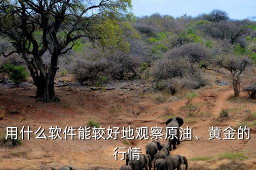 用什么軟件能較好地觀察原油、黃金的行情