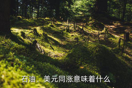 石油、美元同漲意味著什么