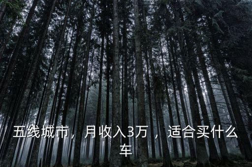 五線城市，月收入3萬 ，適合買什么車