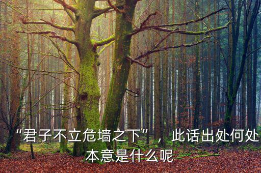 “君子不立危墻之下”，此話出處何處本意是什么呢
