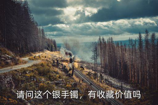 請(qǐng)問(wèn)這個(gè)銀手鐲，有收藏價(jià)值嗎