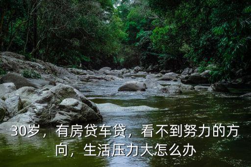 30歲，有房貸車貸，看不到努力的方向，生活壓力大怎么辦