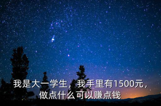 我是大一學生，我手里有1500元，做點什么可以賺點錢