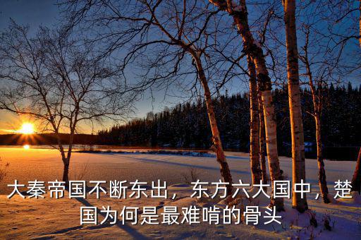 大秦帝國不斷東出，東方六大國中，楚國為何是最難啃的骨頭