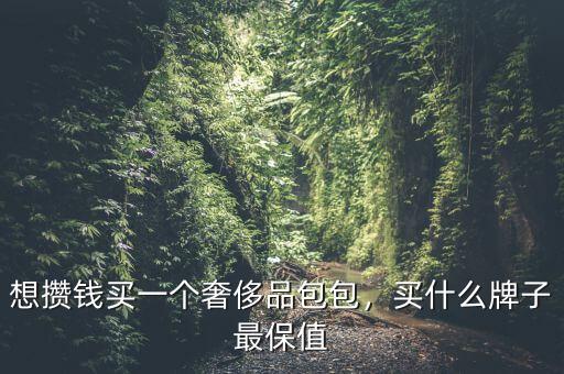 想攢錢買一個(gè)奢侈品包包，買什么牌子最保值