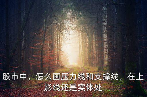 股市中，怎么畫壓力線和支撐線，在上影線還是實體處