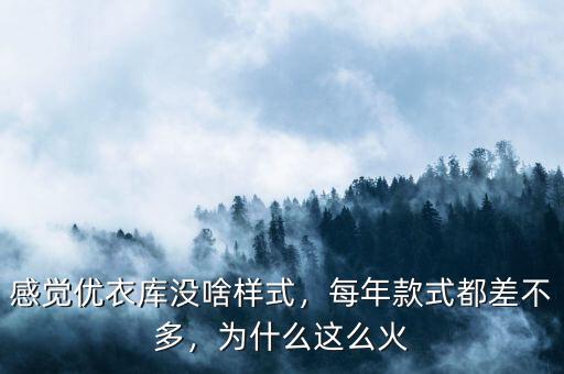 感覺優(yōu)衣庫沒啥樣式，每年款式都差不多，為什么這么火